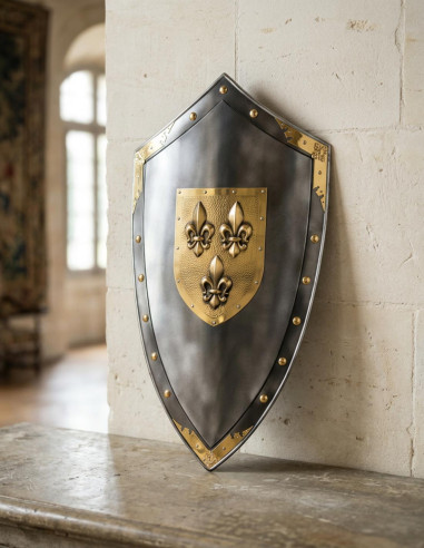 Shield with fleur de lys in the center