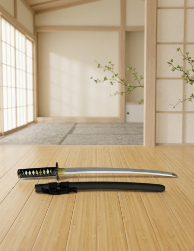 Wakizashi for practice plus