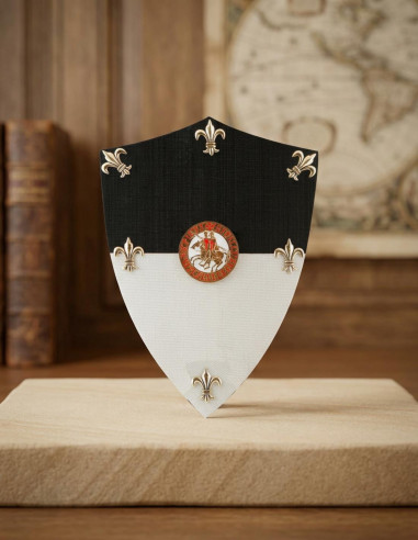 Templar mini shield