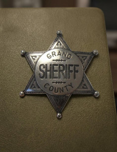 Sheriff's Badge 2