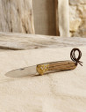 Albainox Field Knife with Decorative Guard/Zebra
