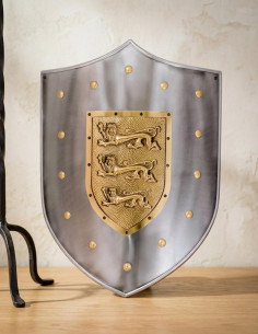 Lions metal shield