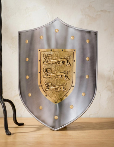 Lions metal shield
