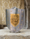 Medieval Warrior Shield