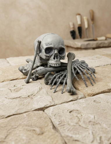 Human bones, 18 pieces