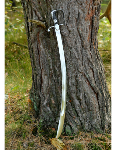 Light cavalry saber, years 1796-1815