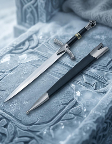 Winter is Coming fantastic silver Daga