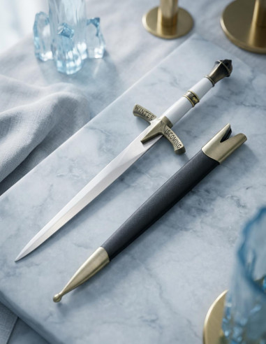 Winter is Coming fantastic golden Daga