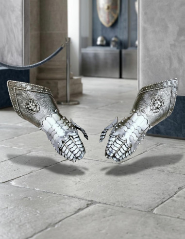 Medieval gauntlets Lions
