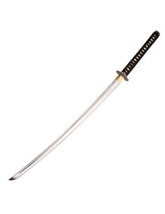 Katana for practices 2
