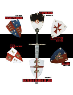 Templar mini shield 2