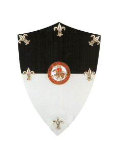 Templar mini shield