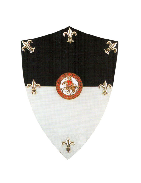 Templar mini shield Templar mini shield