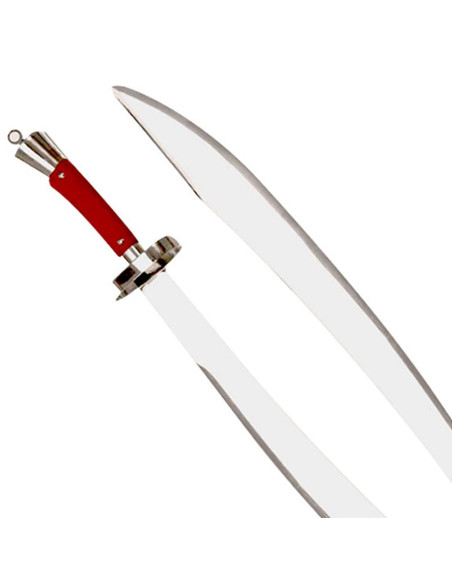 Tao Kung Fu Sword