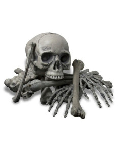 Human bones, 18 pieces 2