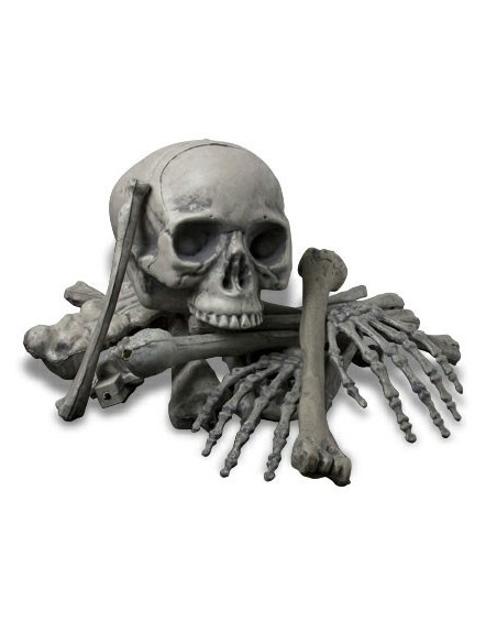 Human bones, 18 pieces