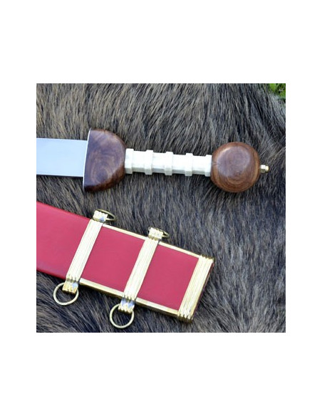 Roman legionary Gladius sword Roman legionary Gladius sword