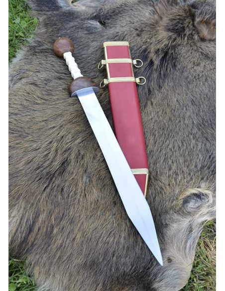 Roman legionary Gladius sword Roman legionary Gladius sword