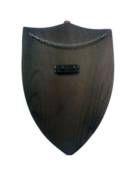 Shield of the Order of Hospitaller Knights