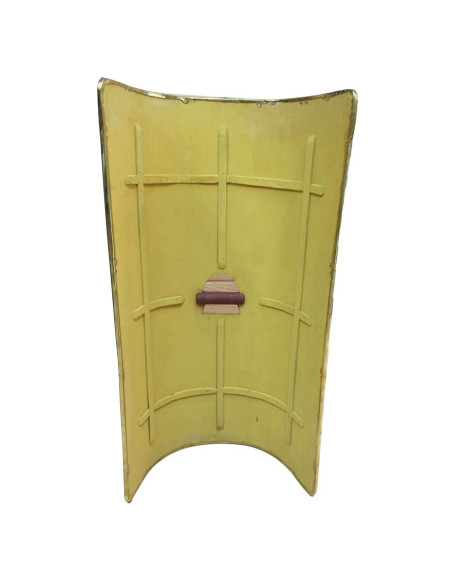 tortoise roman shield