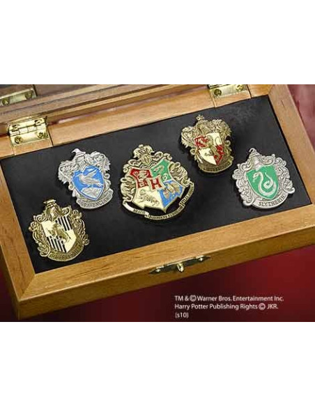 Pins schools Hogwarts, Harry Potter