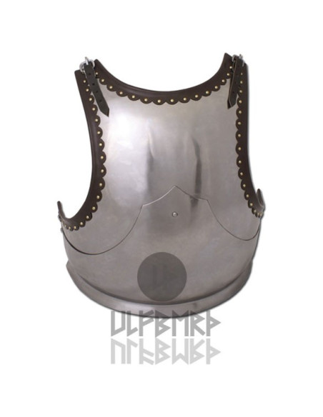 Steel breastplate (1.6 mm.)