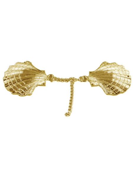 Cloak closure brooch