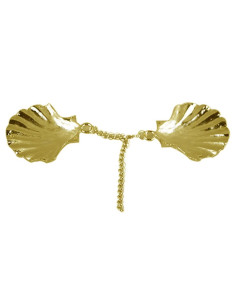 Cloak closure brooch 2