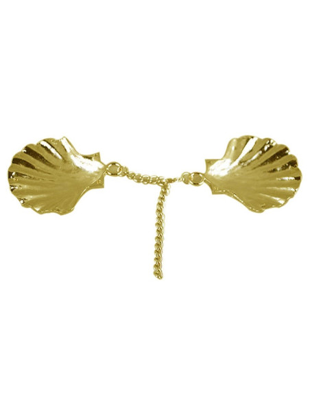 Cloak closure brooch