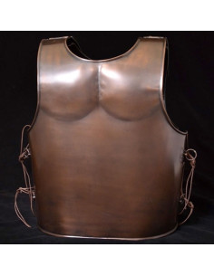 Spartan muscled armor 2