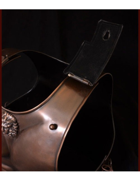 Spartan muscled armor