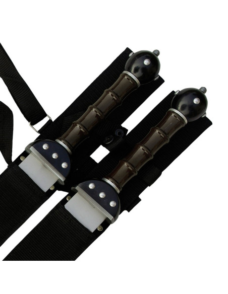 Set 2 fantastic Gladius to hang Set 2 fantastic Gladius to hang