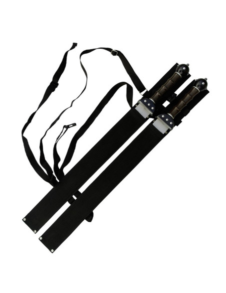 Set 2 fantastic Gladius to hang Set 2 fantastic Gladius to hang