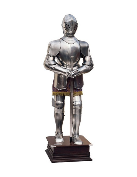 Silver natural armor with sword in his hands