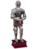 Silver natural armor with engravings, garnet suit and sword in his hands