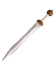 Gladius Maintz Sword 2