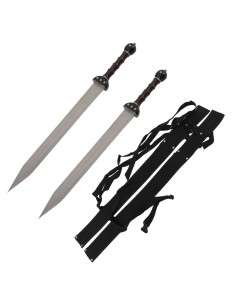 Set 2 fantastic Gladius to hang