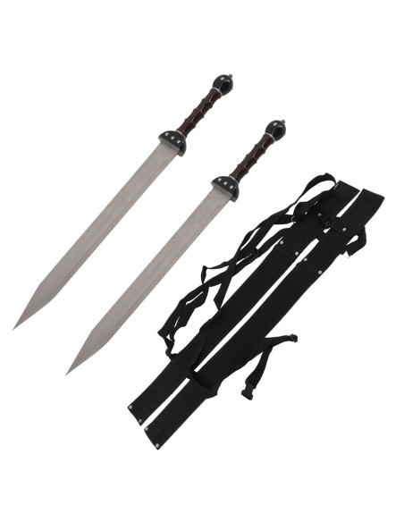 Set 2 fantastic Gladius to hang Set 2 fantastic Gladius to hang