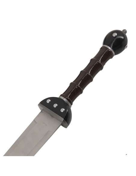 Set 2 fantastic Gladius to hang Set 2 fantastic Gladius to hang
