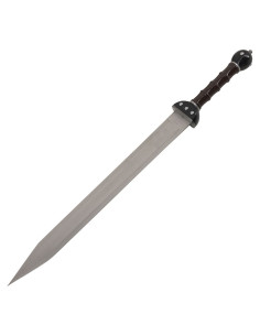 Set 2 fantastic Gladius to hang