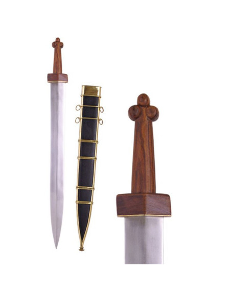 Republican Roman Gladius with scabbard