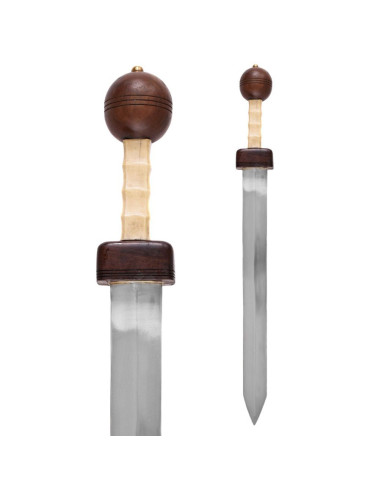 Gladius Pompeii with scabbard