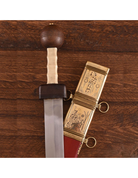 Gladius Pompeii with scabbard