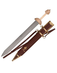 Gladius Pompeii with scabbard and belt