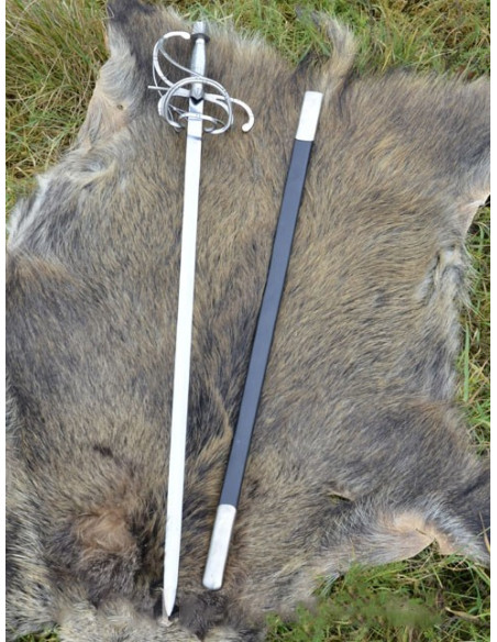 Renaissance rapier sword with scabbard