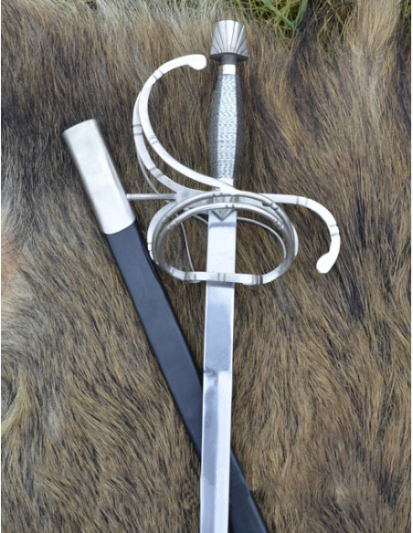 Renaissance rapier sword with scabbard