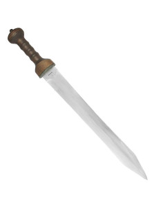 Gladius Mainz Condor 2