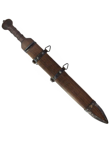 Gladius Mainz Condor