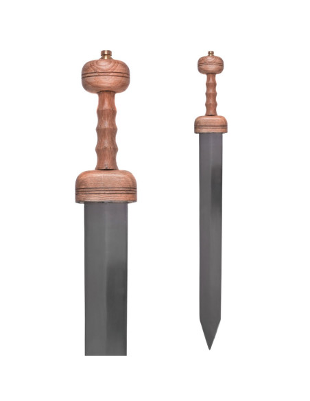 Gladius Pompeii with scabbard Gladius Pompeii with scabbard