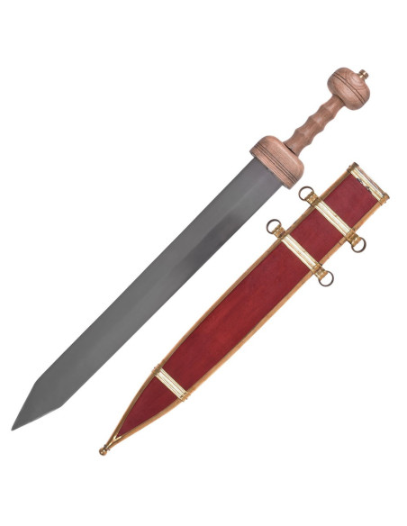 Gladius Pompeii with scabbard Gladius Pompeii with scabbard